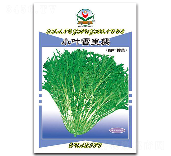 С�~ѩ��ޮ-��˷N��-���߷N�I