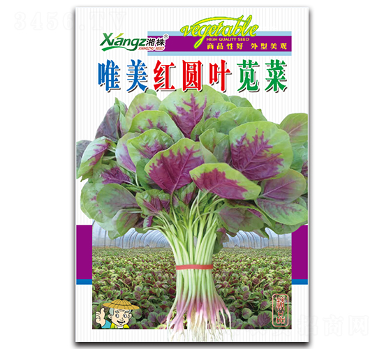 Ψ���t�A�~�{��-�{�˷N��-���߷N�I(y��)