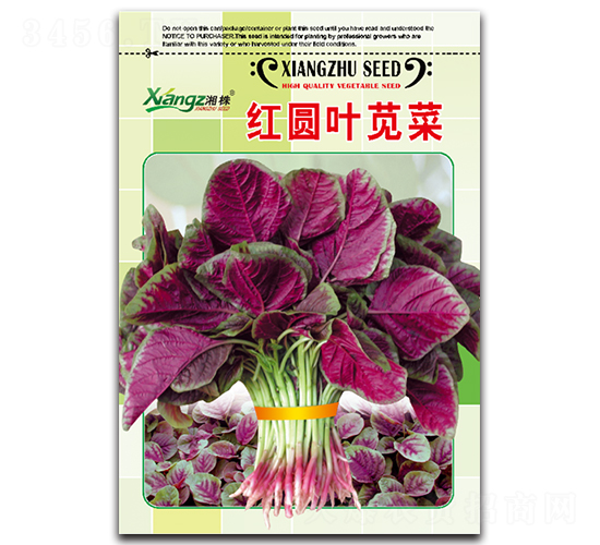 �t�A�~�{��-�{�˷N��-���߷N�I