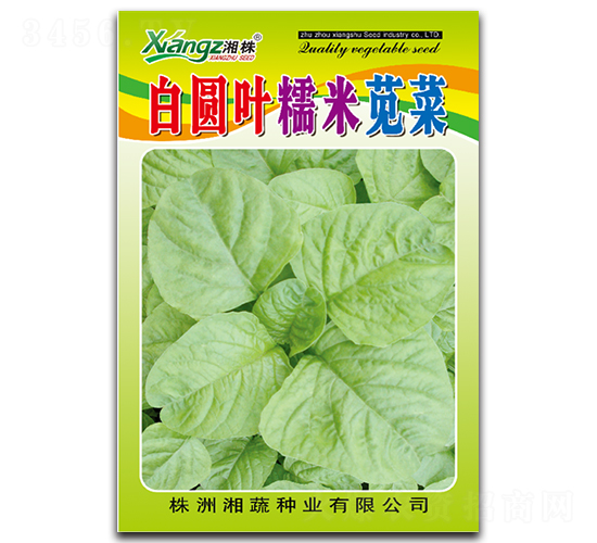 �׈A�~Ŵ���{��-�{�˷N��-���߷N�I(y��)