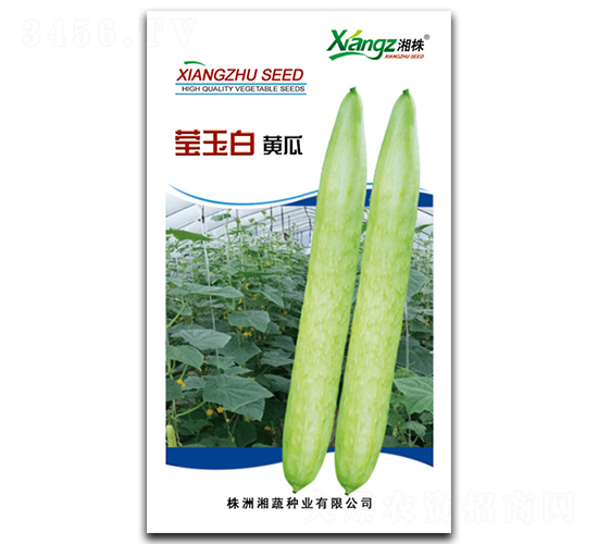 �����-�S�ϷN��-���߷N�I