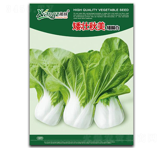 ��������-��˷N��-���߷N�I(y��)