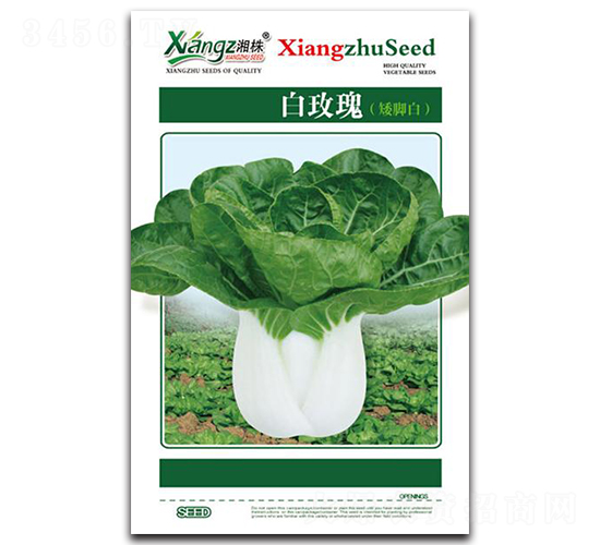 ��õ��-��˷N��-���߷N�I