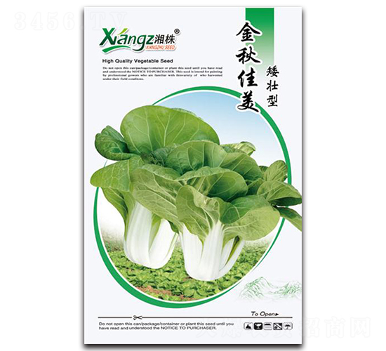 �������-��˷N��-���߷N�I