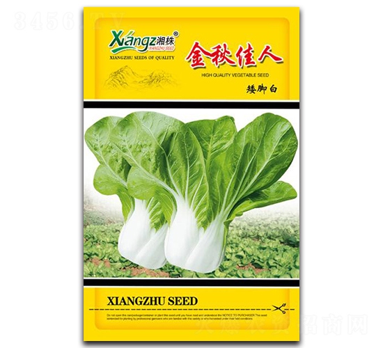 �������-��˷N��-���߷N�I