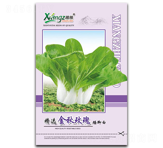 ����õ��-��˷N��-���߷N�I