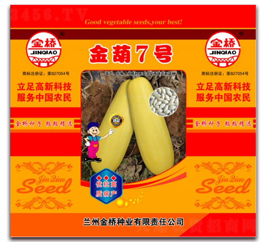 金葫7號-西葫蘆種子-金橋種業