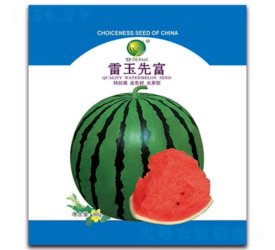雷玉先富-西瓜種子-雷玉種業(yè)