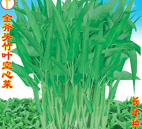 ���^���~���Ĳ�-���Ĳ˷N��-�f�r�߿�