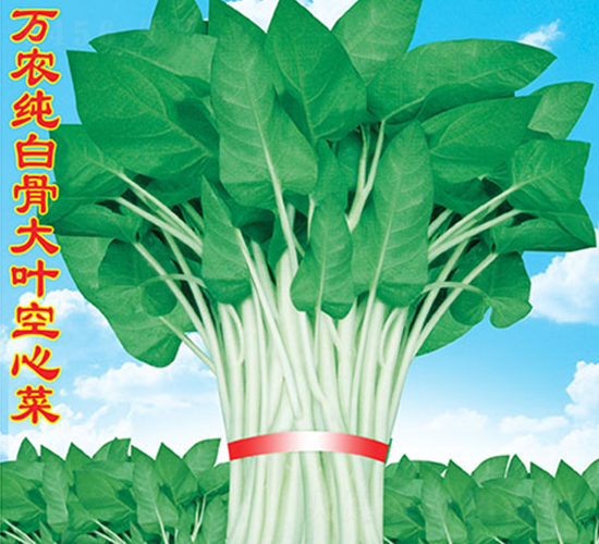 �f�r���׹Ǵ��~���Ĳ�-���Ĳ˷N��-�f�r�߿�