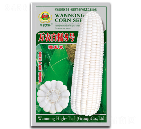 萬農白糯8號-糯玉米種子-萬農高科