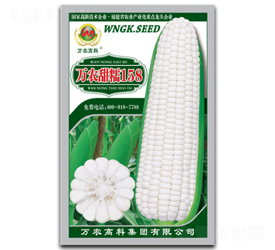 萬農甜糯158-糯玉米種子-萬農高科