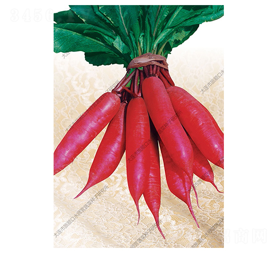 С���-�}���N��-ˮ���I