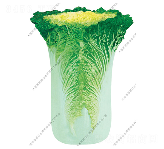 �����-�ײ˷N��-ˮ���I(y��ng)