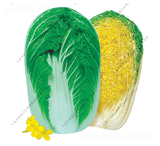 ���60-�ײ˷N��-ˮ���I(y��ng)