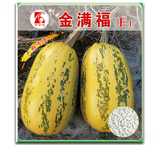 ��M��-�����J�N��-�x���