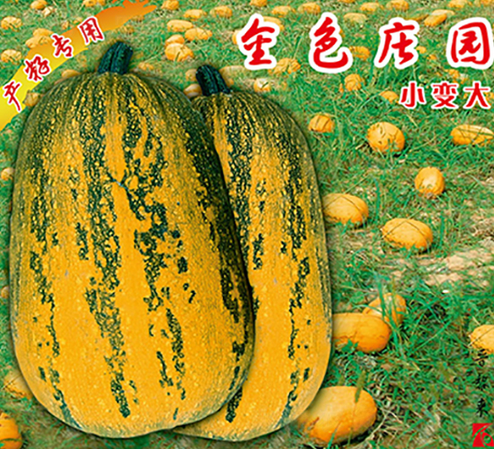 ��ɫ�f�@-�����J�N��-�x���