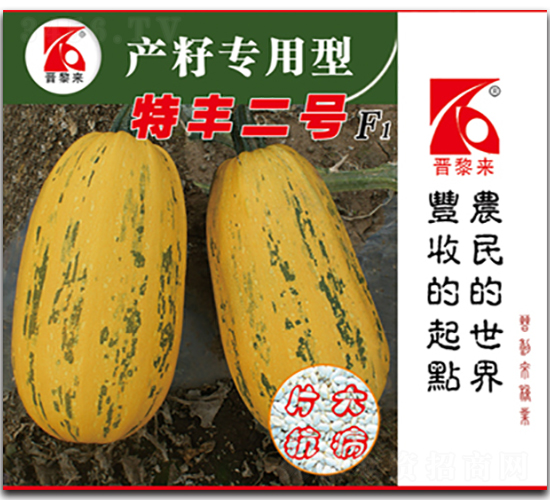 特豐二號-西葫蘆種子-晉黎來