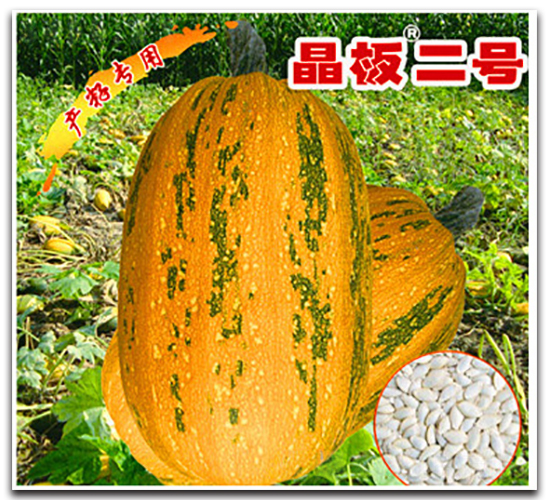 �����̖-�����J�N��-�x���