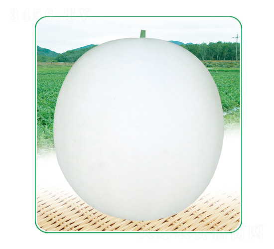 ����3̖-��ϷN��-��̩�_