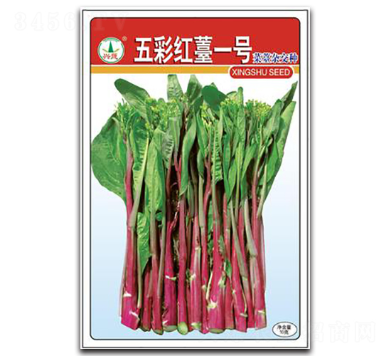 五彩紅苔1號(hào)-菜苔種子-興蔬種業(yè)