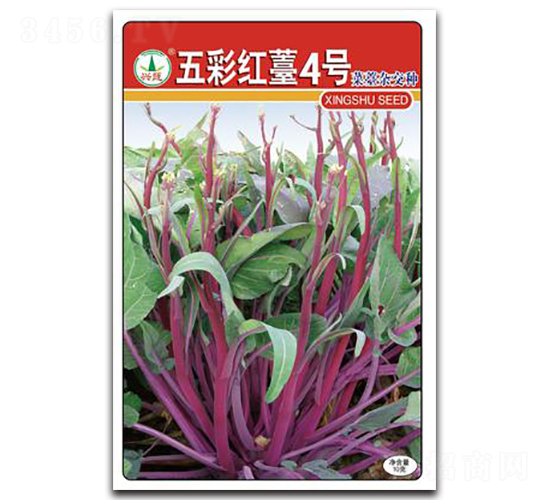 ��ʼt޷��̖-��̦�N��-�d�߷N�I