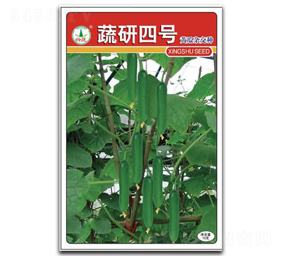 ������̖(h��o)-�S�ϷN��-�d�߷N�I(y��)