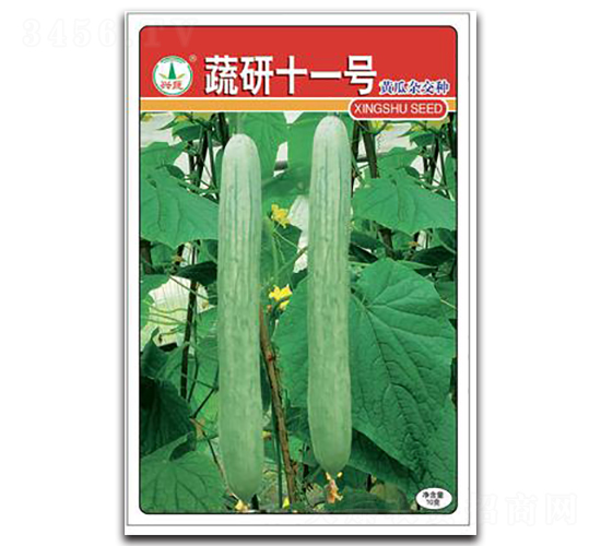 蔬研11號-黃瓜種子-興蔬種業