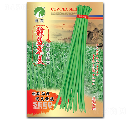 �M�ߴ���-�����N��-�M�߷N�I