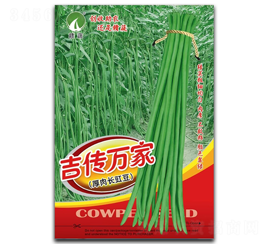 �����f(w��n)��-�����N��-�M�߷N�I(y��)