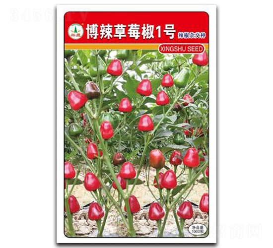 ������ݮ��1̖-�����N��-�d�߷N�I