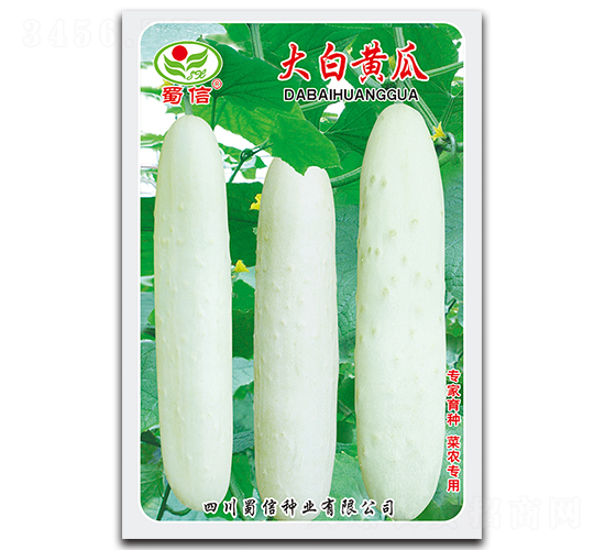 ����S��-�S�ϷN��-���ŷN�I