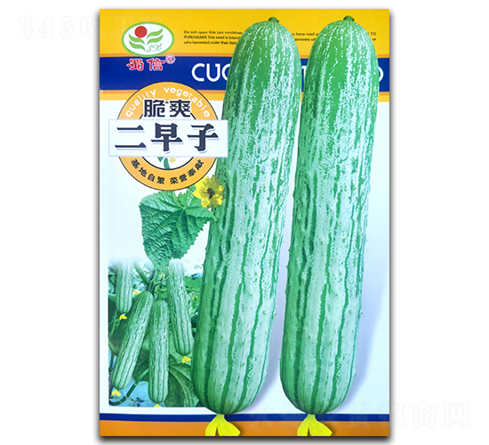 ��ˬ������-�S�ϷN��-���ŷN�I