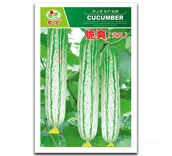 ��ˬ-�S�ϷN��-���ŷN�I