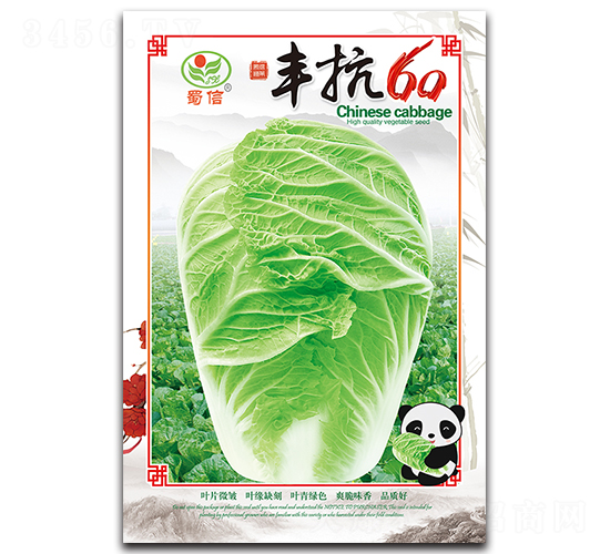豐抗60-白菜種子-蜀信種業