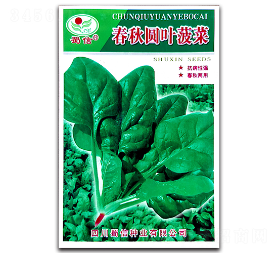 春秋圓葉菠菜-菠菜種子-蜀信種業