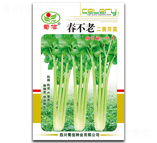 春不老二黃芹菜-芹菜種子-蜀信種業