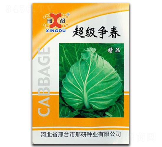 ��������-���{�N��-���зN�I