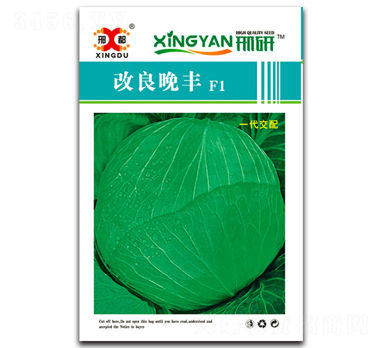 改良晚豐-甘藍種子-邢研種業