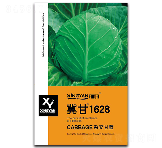 ����1628-���{�N��-���зN�I