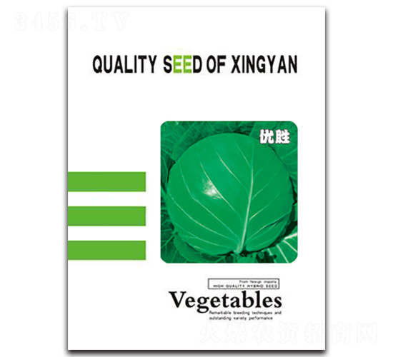 ����-���{�N��-���зN�I