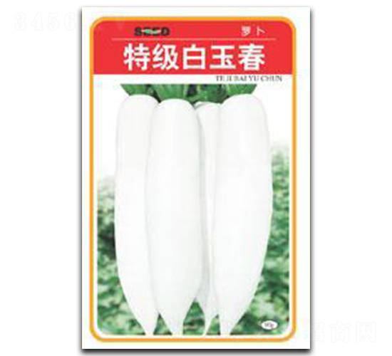 �ؼ�����-�}���N��-����N�I