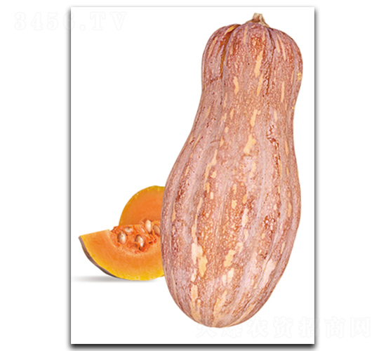 �����ܱ�����-�ϹϷN��-����N��