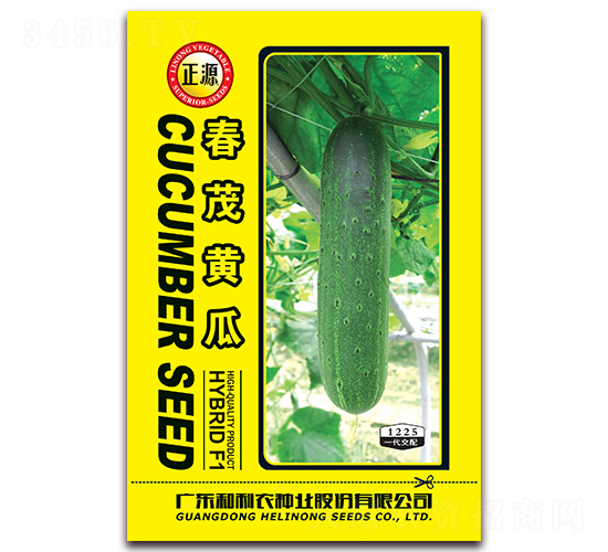 ��ï�S��-�S�ϷN��-�����r