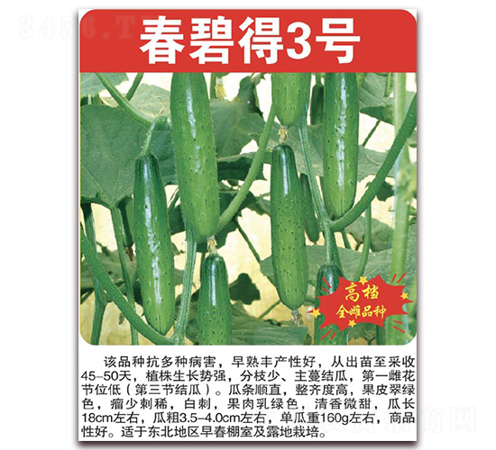 ���̵�3̖-�S�ϷN��-���÷N��