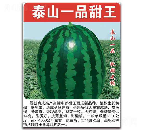 ̩ɽһƷ����-���ϷN��-���÷N��