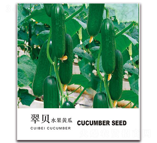 ��ؐˮ���S��-ˮ���S�ϷN��-���i�N�I