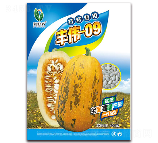 新版豐偉09-籽用西葫蘆種子-金鵬種業