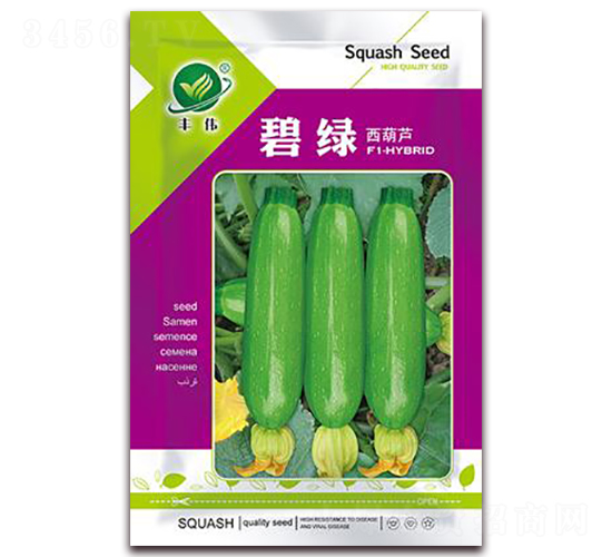 碧綠-菜用西葫蘆種子-金鵬種業