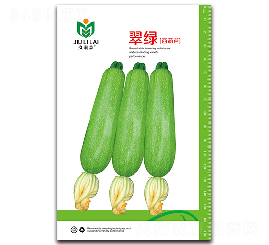 翠綠-菜用西葫蘆種子-金鵬種業